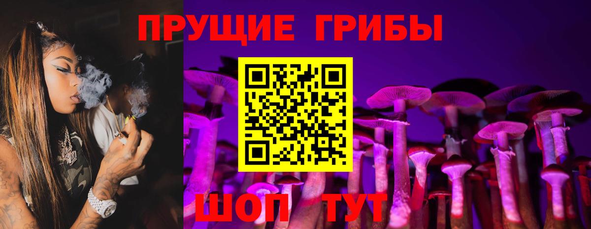Галлюциногенные грибы Cubensis  Псилоцибиновые грибы ЛСД  Унеча  Вход с VPN 
